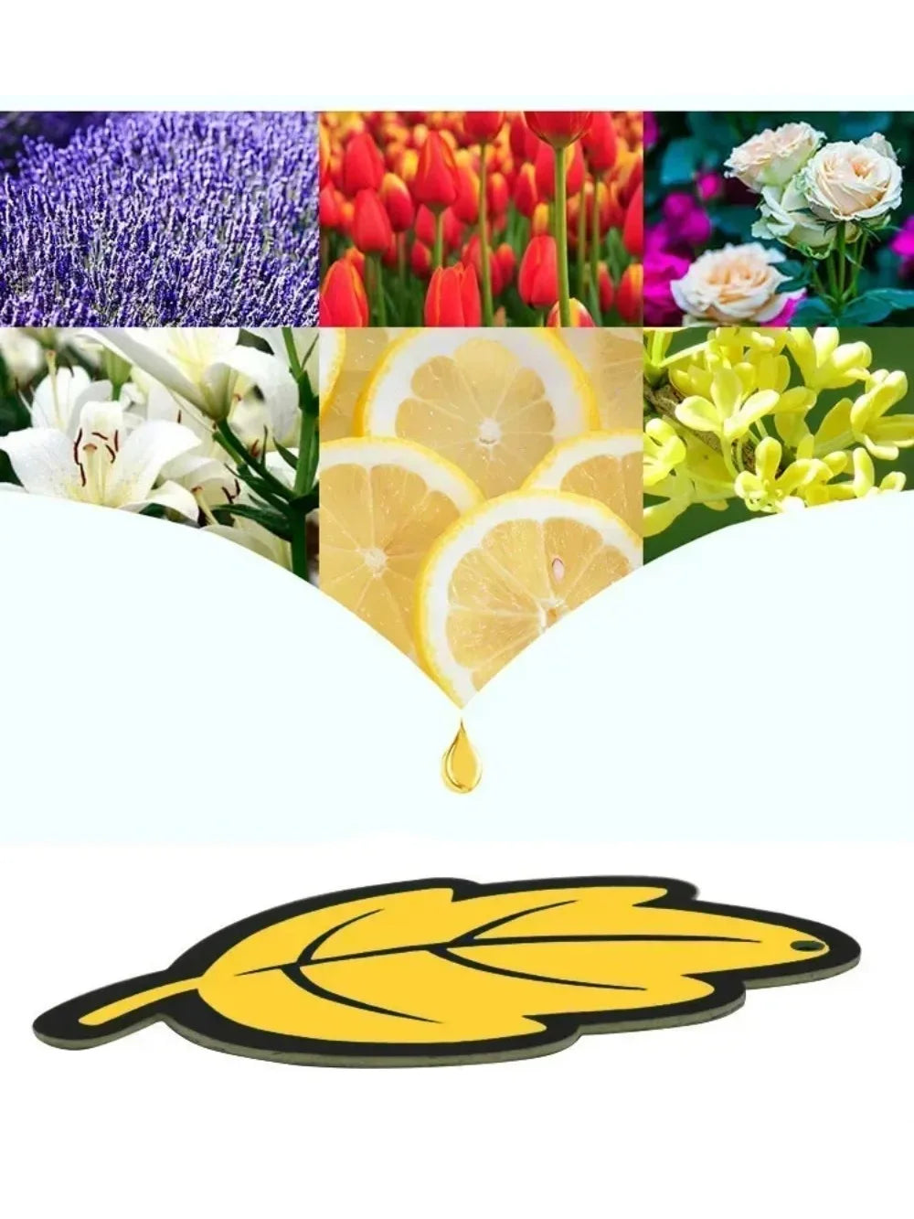 Long Lasting Car Air Freshener