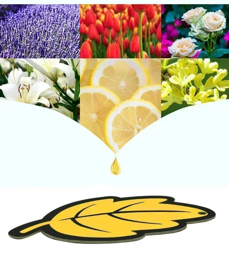 Long Lasting Car Air Freshener